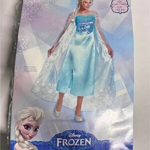 Disney Princess Elsa Dress Halloween Costume